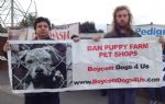 Dogs4Us protest Salford